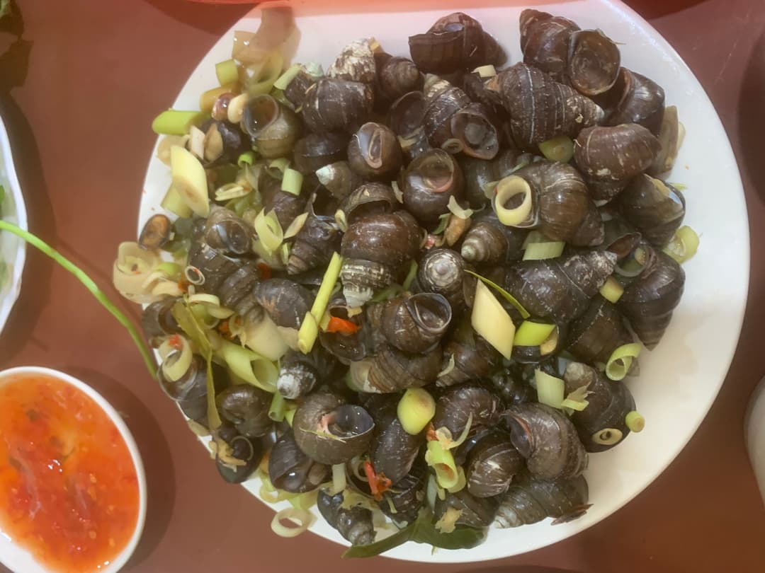 Ốc luộc