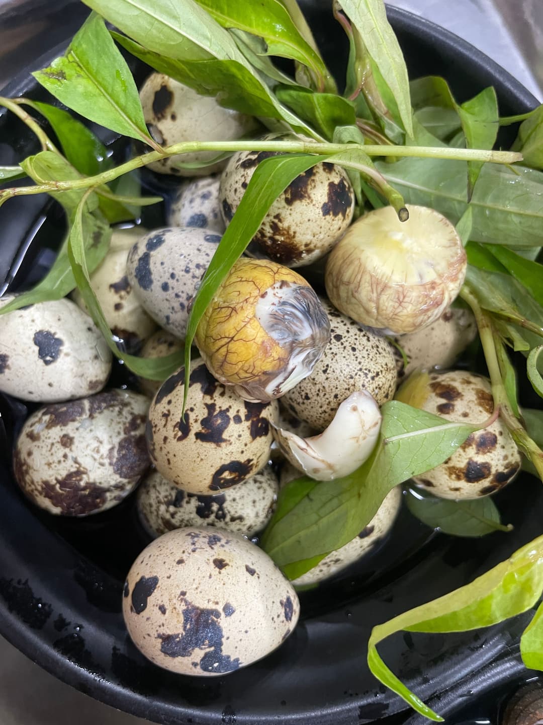 Trứng cút lộn luộc