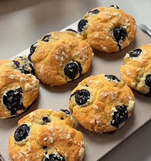 Bánh muffin việt quất